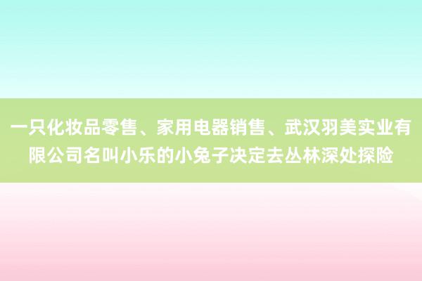 一只化妆品零售、家用电器销售、武汉羽美实业有限公司名叫小乐的小兔子决定去丛林深处探险